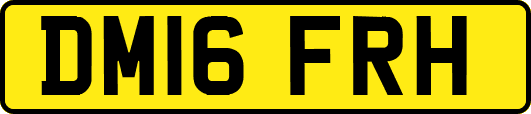 DM16FRH