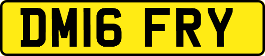 DM16FRY