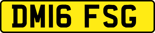DM16FSG