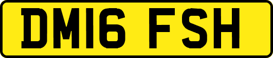 DM16FSH