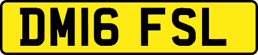 DM16FSL