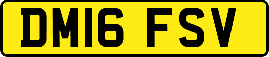 DM16FSV