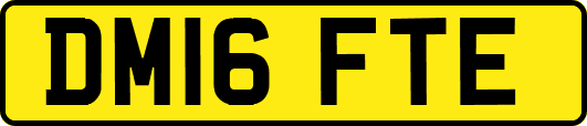DM16FTE