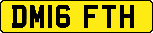 DM16FTH