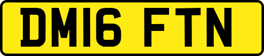 DM16FTN
