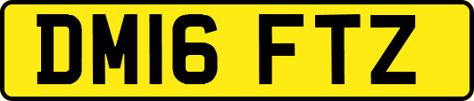 DM16FTZ