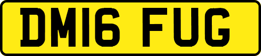 DM16FUG