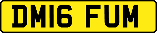 DM16FUM