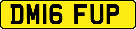 DM16FUP