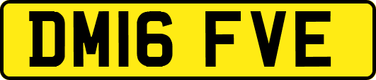 DM16FVE