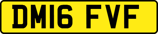 DM16FVF