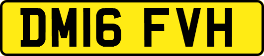 DM16FVH