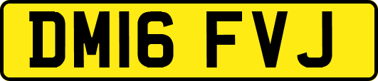 DM16FVJ