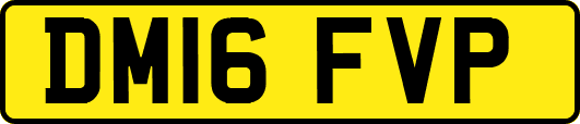 DM16FVP