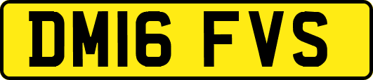 DM16FVS