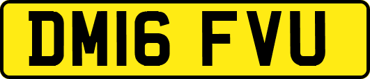 DM16FVU