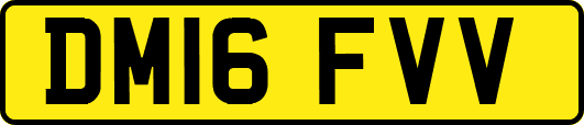 DM16FVV