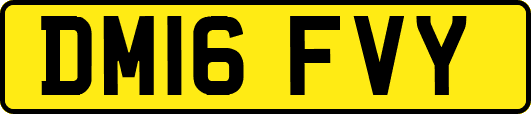 DM16FVY