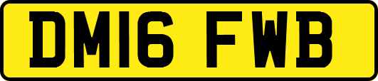 DM16FWB