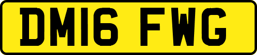 DM16FWG