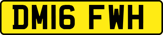 DM16FWH