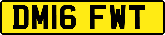 DM16FWT