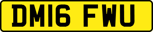 DM16FWU