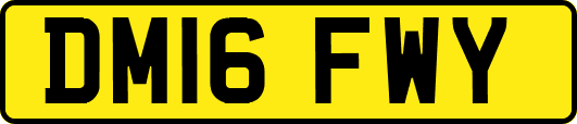 DM16FWY