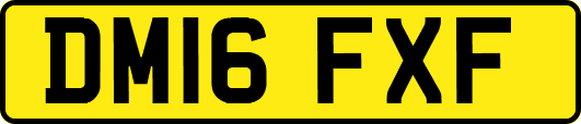 DM16FXF