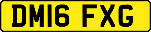 DM16FXG