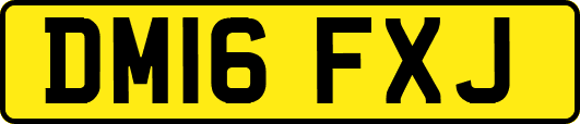 DM16FXJ