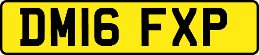 DM16FXP