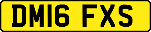 DM16FXS