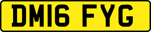 DM16FYG