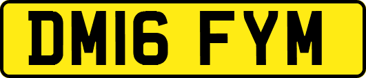 DM16FYM