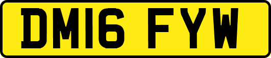 DM16FYW