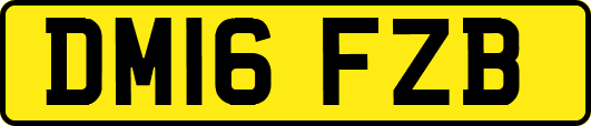 DM16FZB