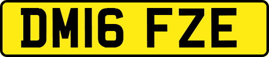 DM16FZE