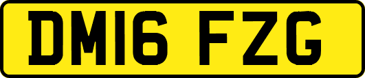 DM16FZG