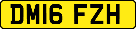 DM16FZH