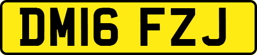 DM16FZJ