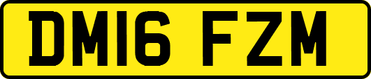 DM16FZM