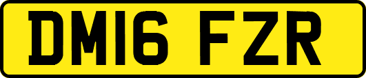 DM16FZR