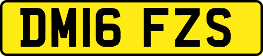 DM16FZS