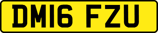 DM16FZU