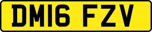 DM16FZV