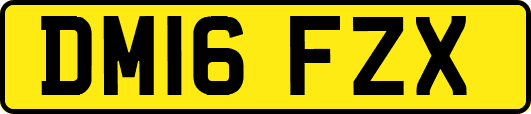 DM16FZX