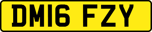 DM16FZY