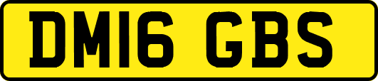 DM16GBS