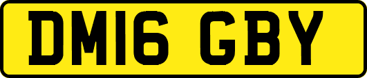 DM16GBY